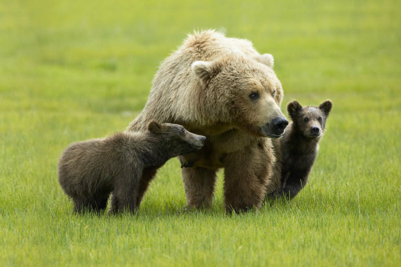 ���������