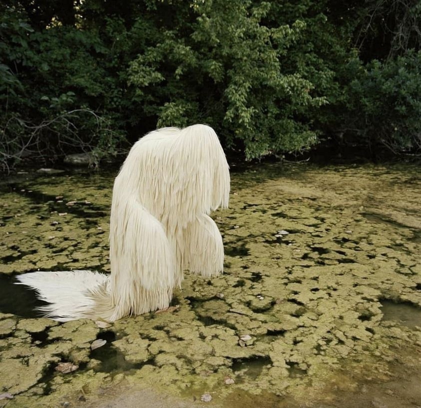 ���������