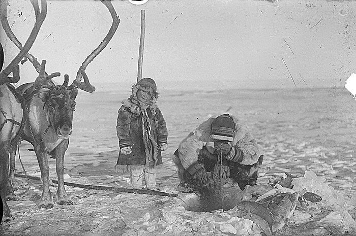 ���������