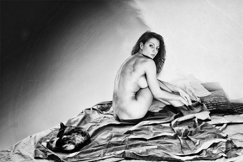 ���������