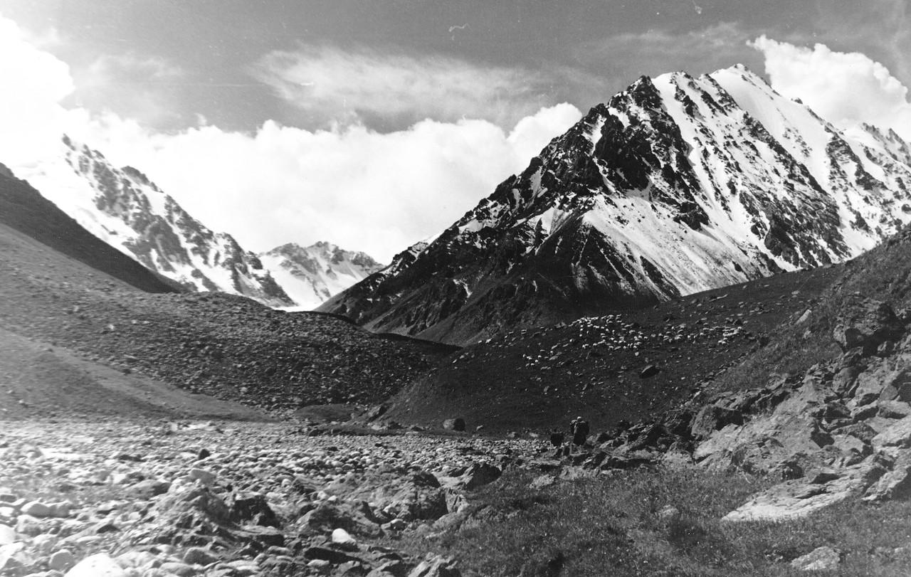 ���������