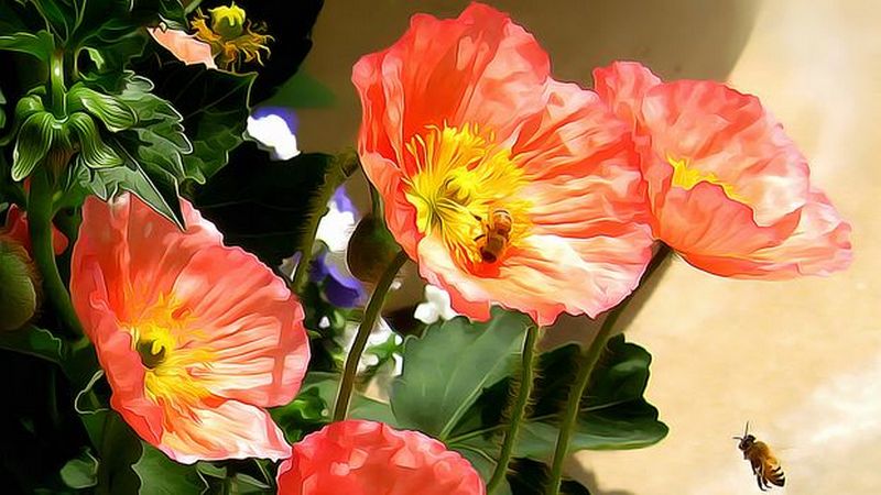 ���������