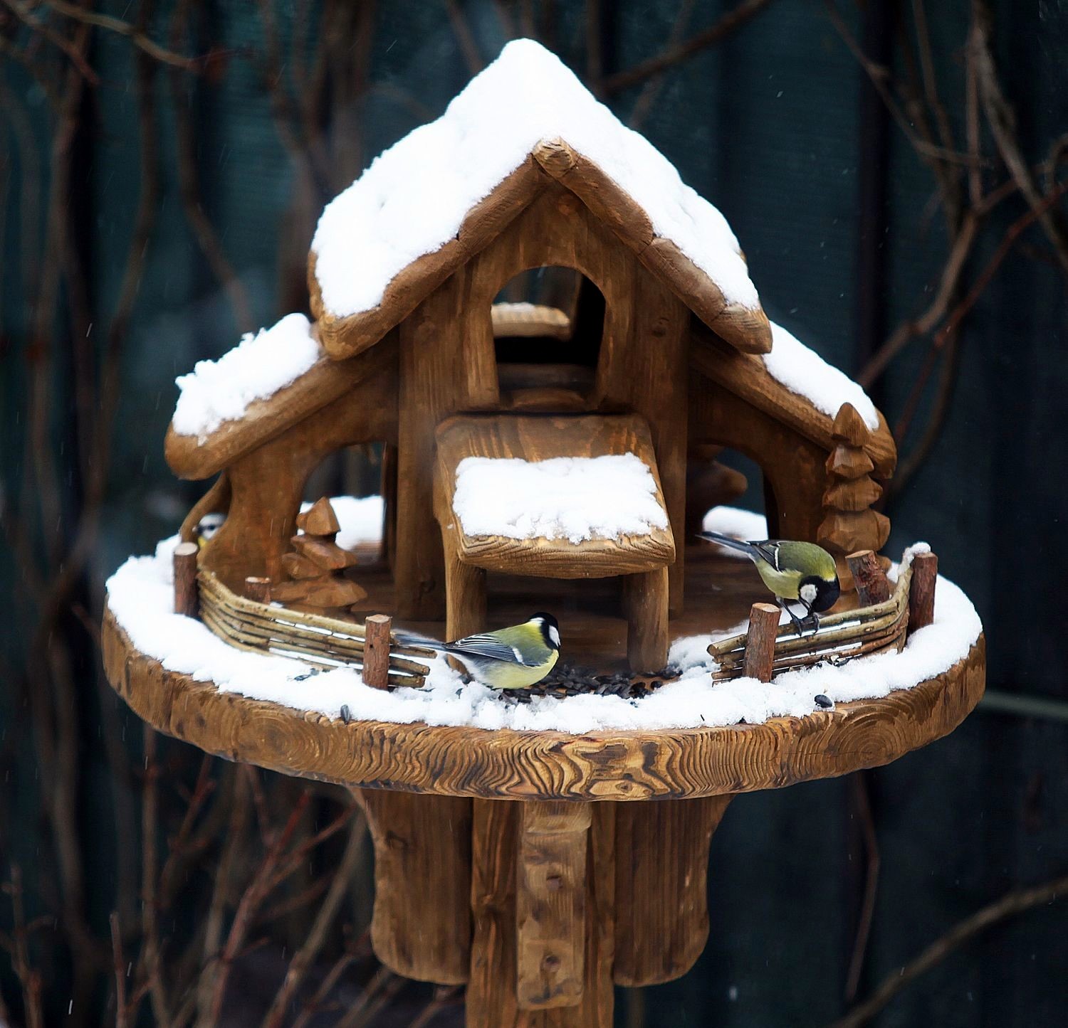 ���������