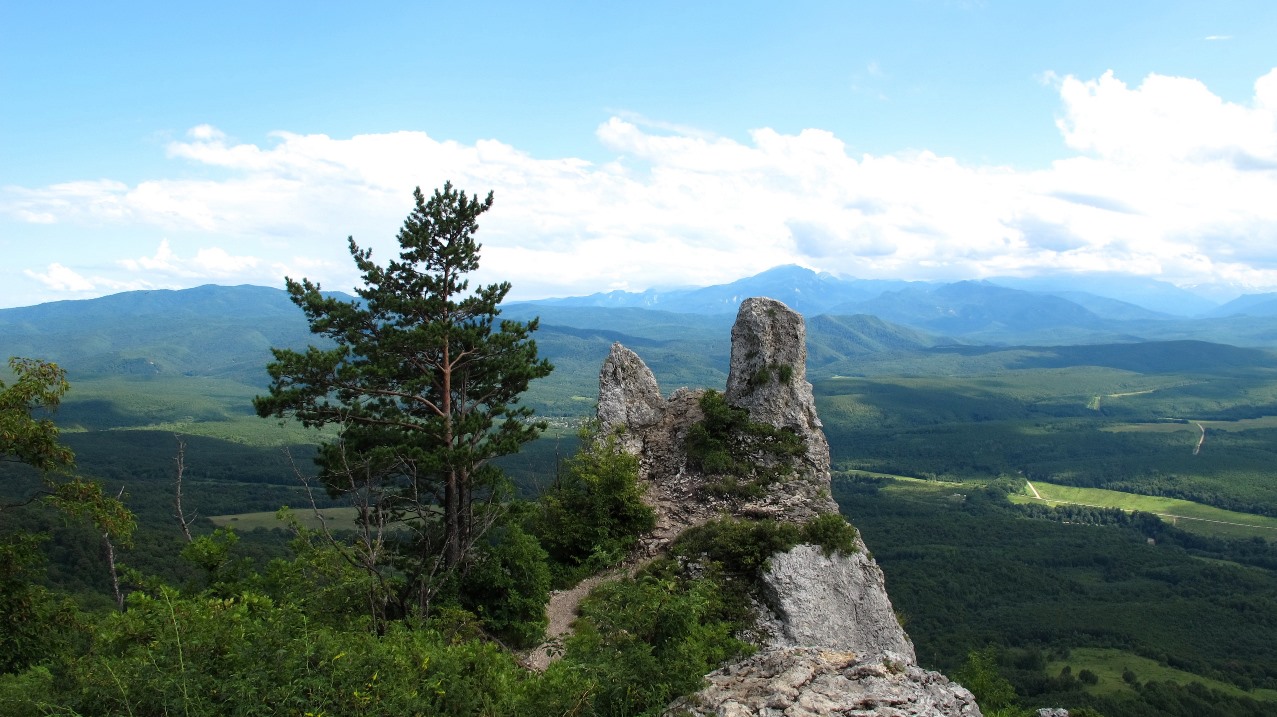 ���������