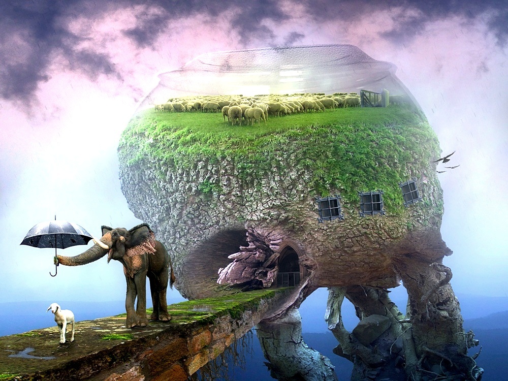 ���������