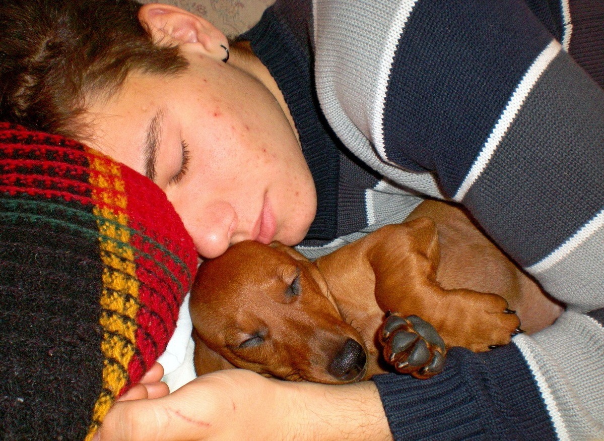 ���������