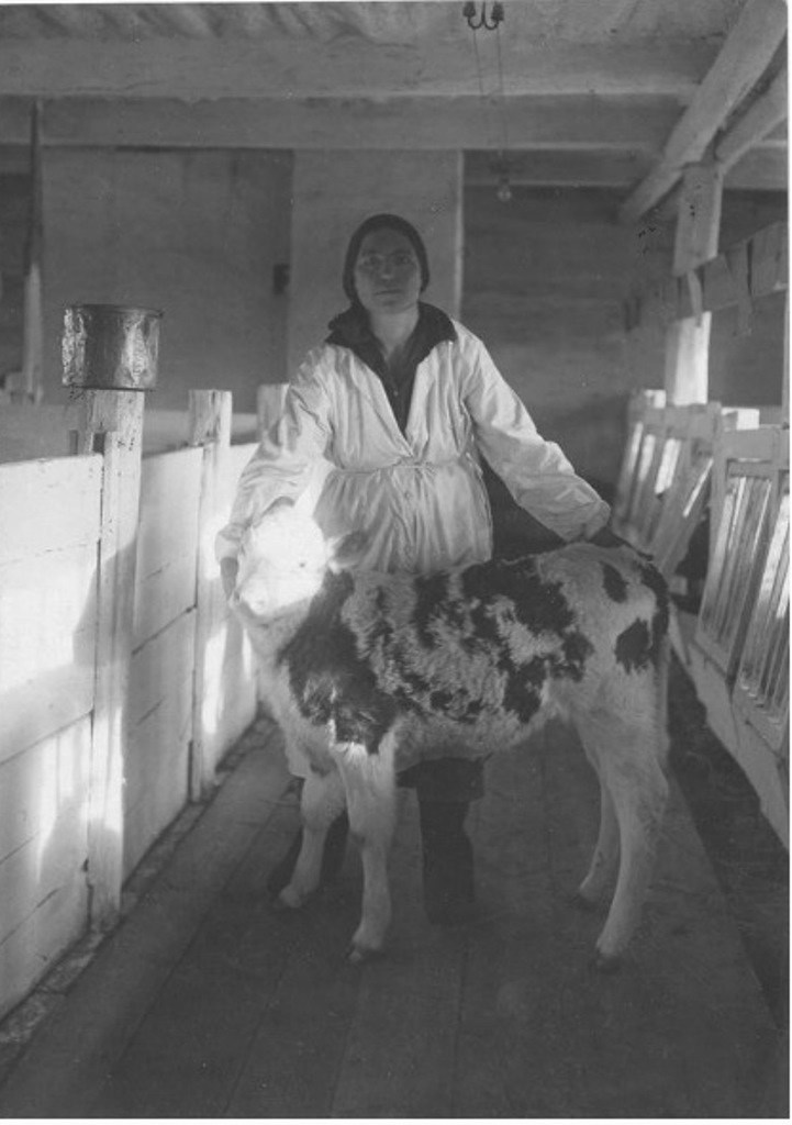 ���������