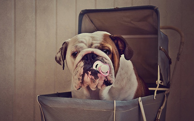 ���������