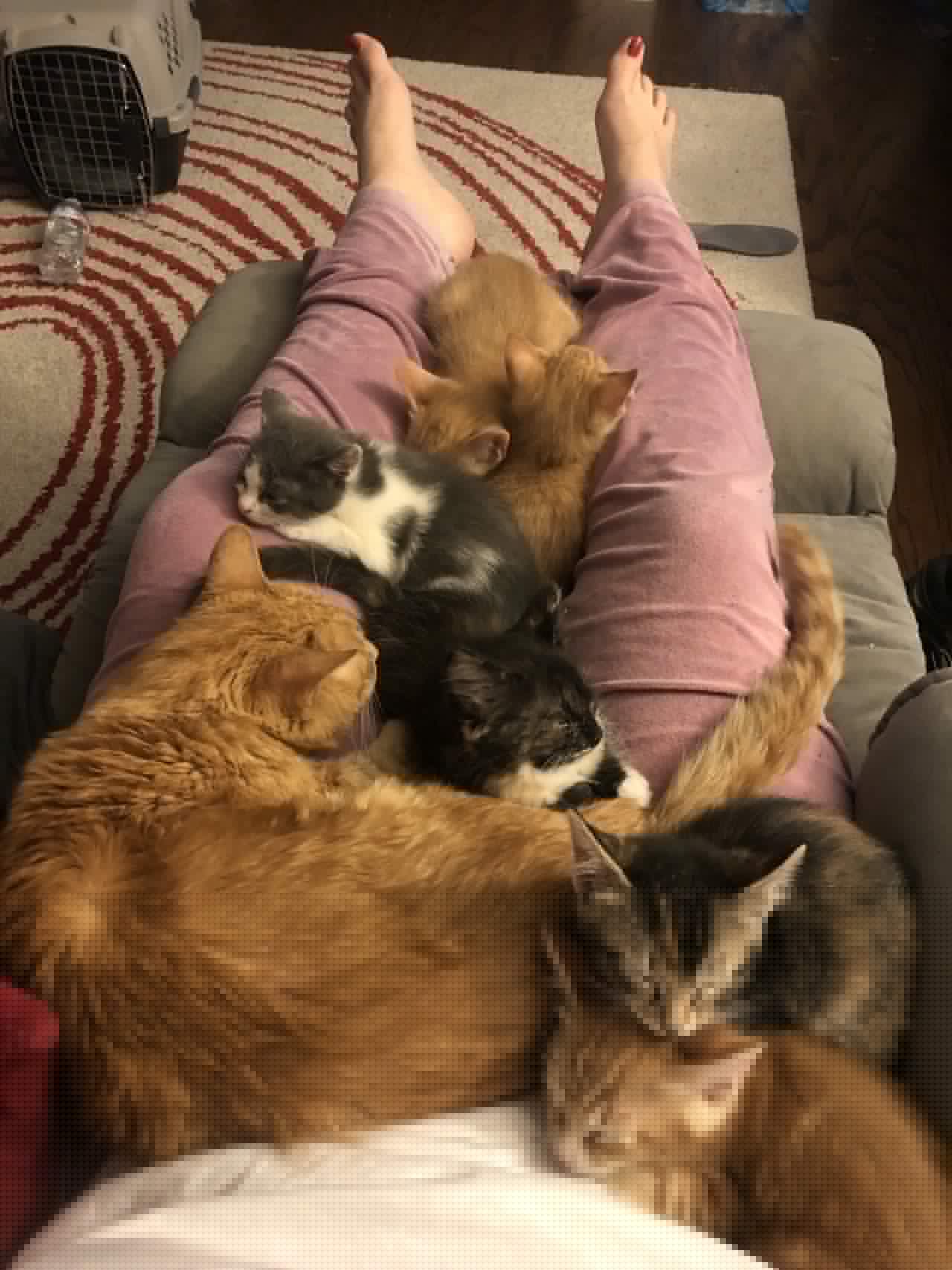 ���������