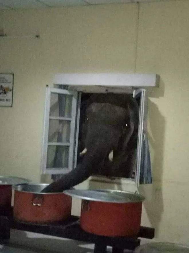 ���������