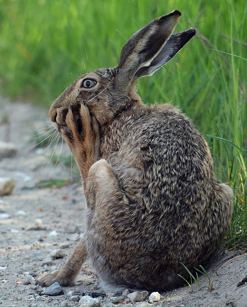 ���������