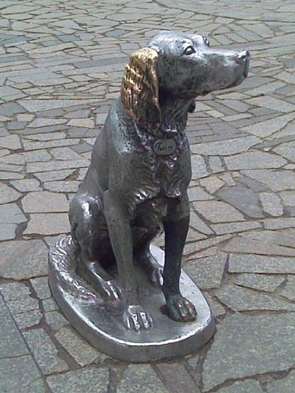 ���������