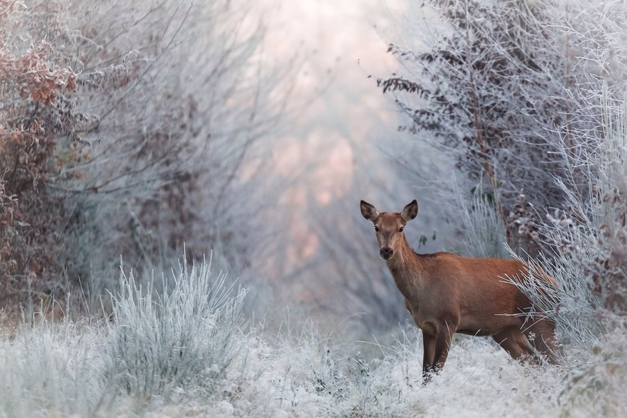 ���������