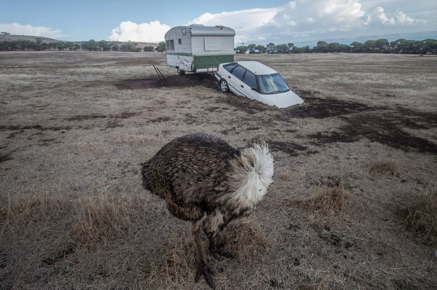 ���������