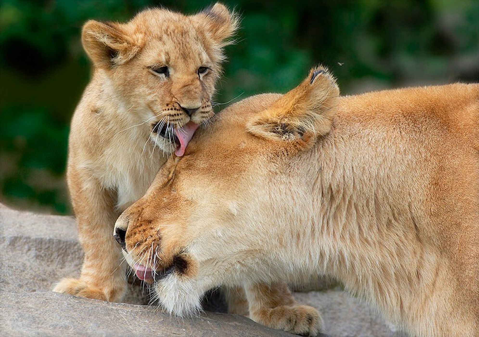 ���������