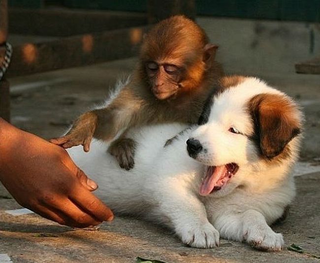 ���������