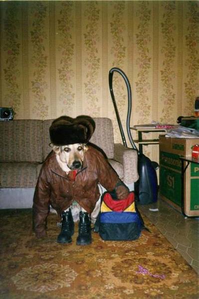 ���������