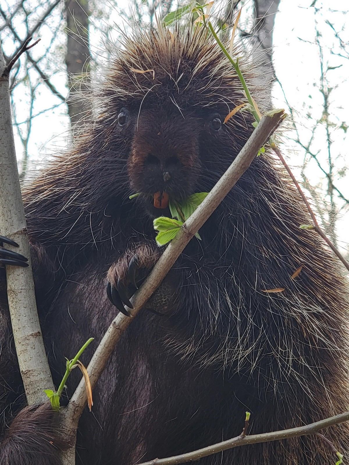 ���������