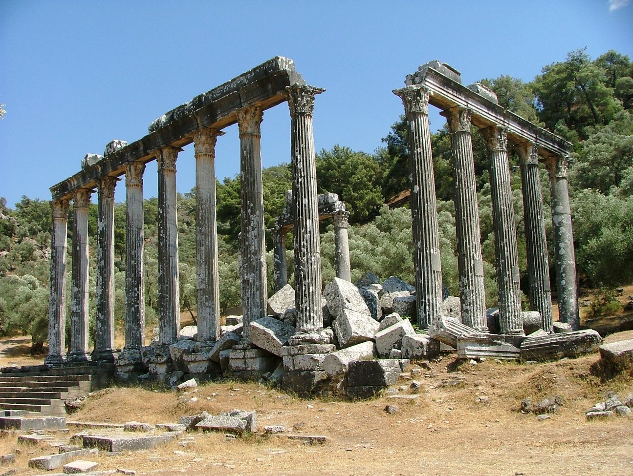 ���������