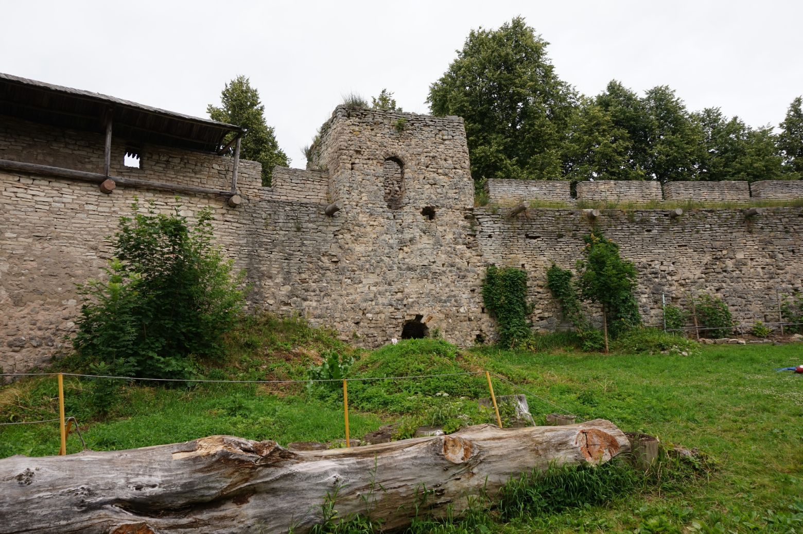 ���������