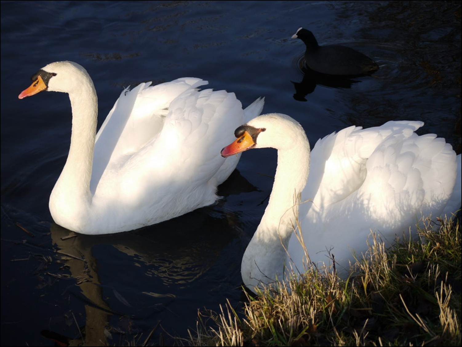 ���������