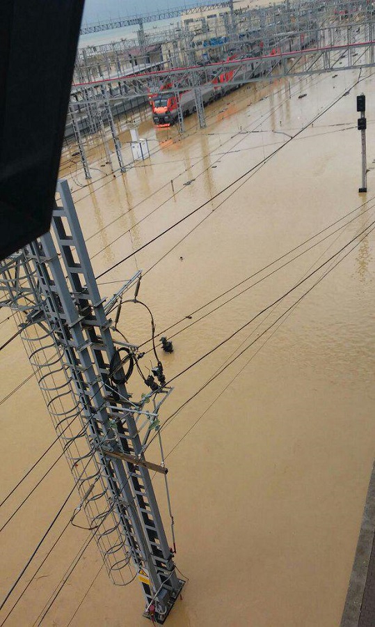 ���������