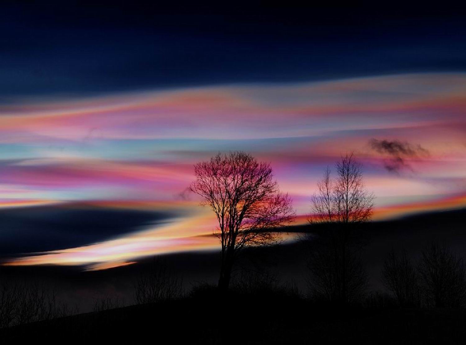 ���������