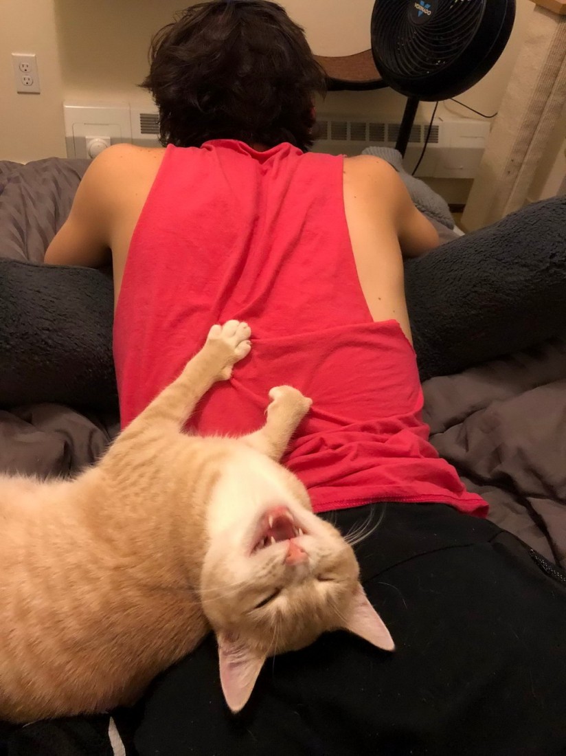 ���������