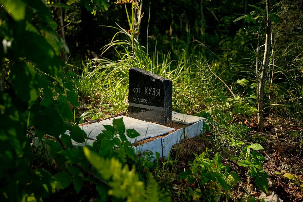 ���������