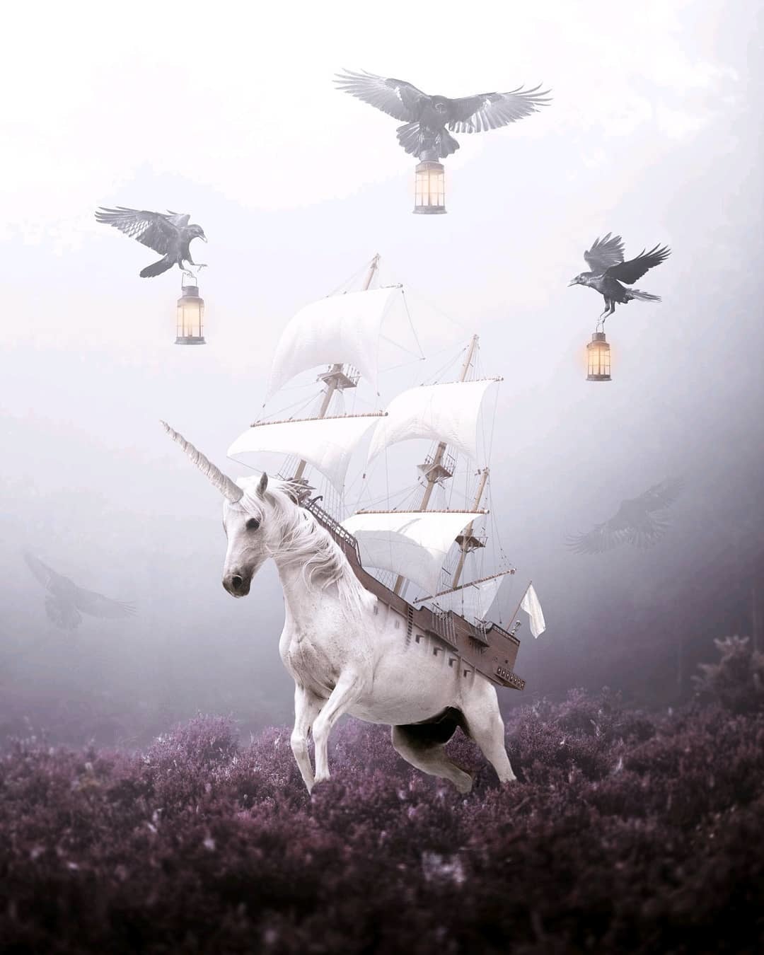 ���������