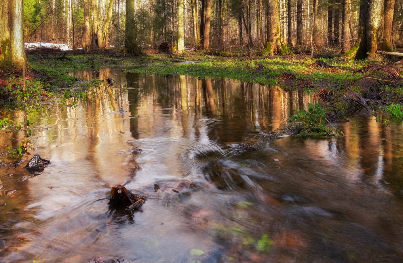 Увеличить Увеличить