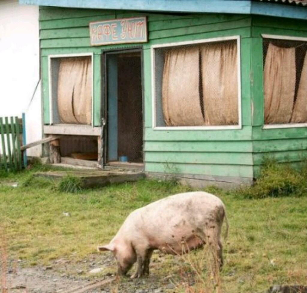 ���������