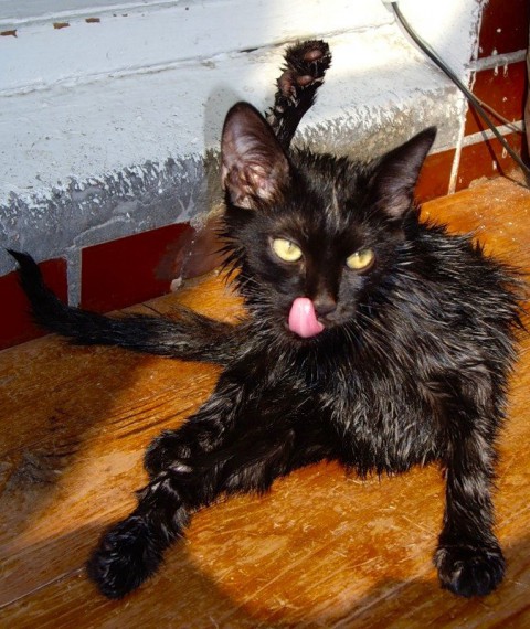 ���������