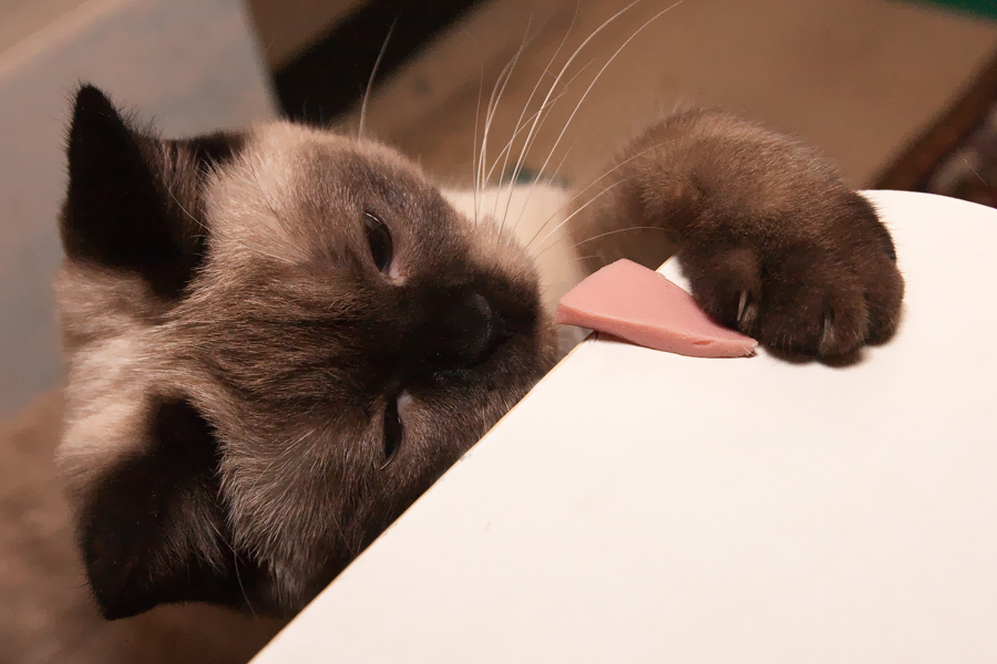 ���������