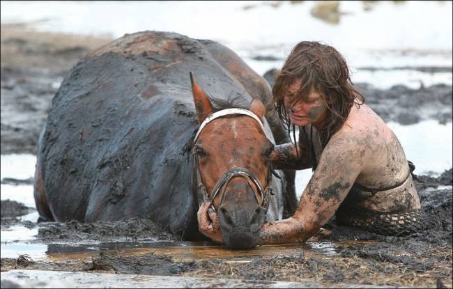 ���������