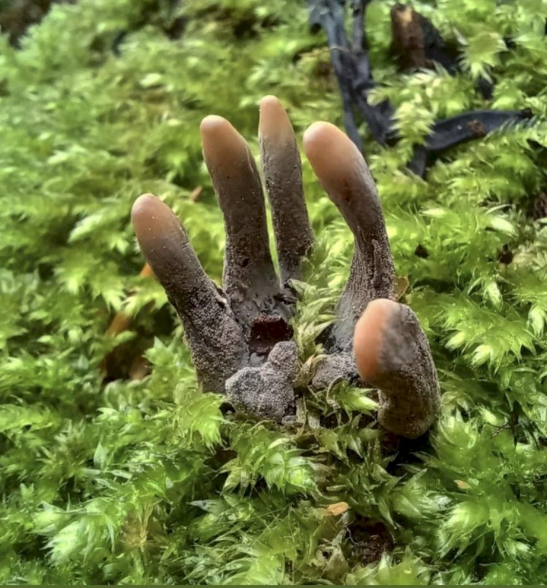 ���������