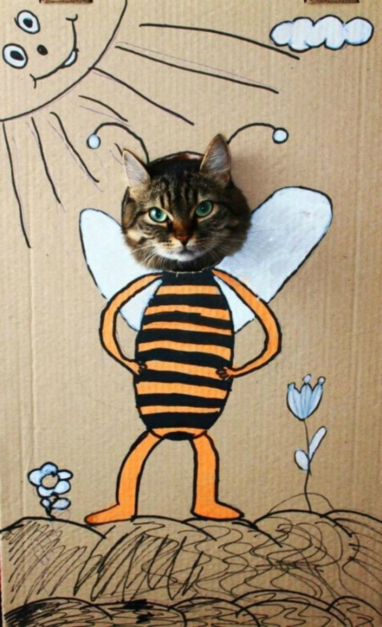 ���������