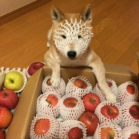 ���������