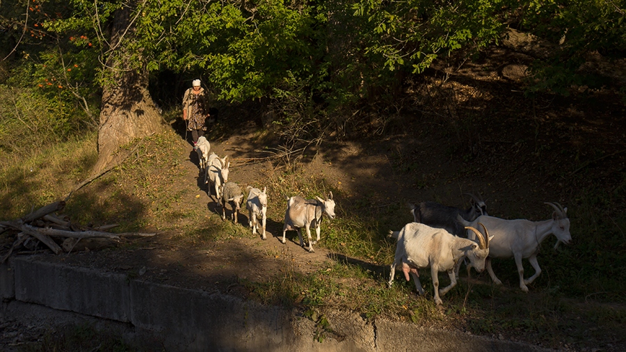 ���������