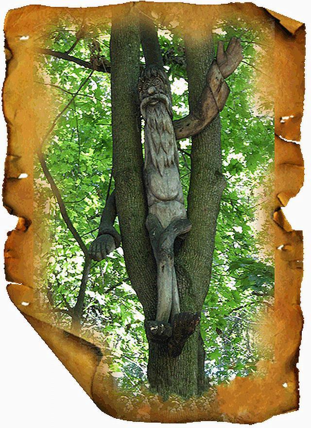 ���������