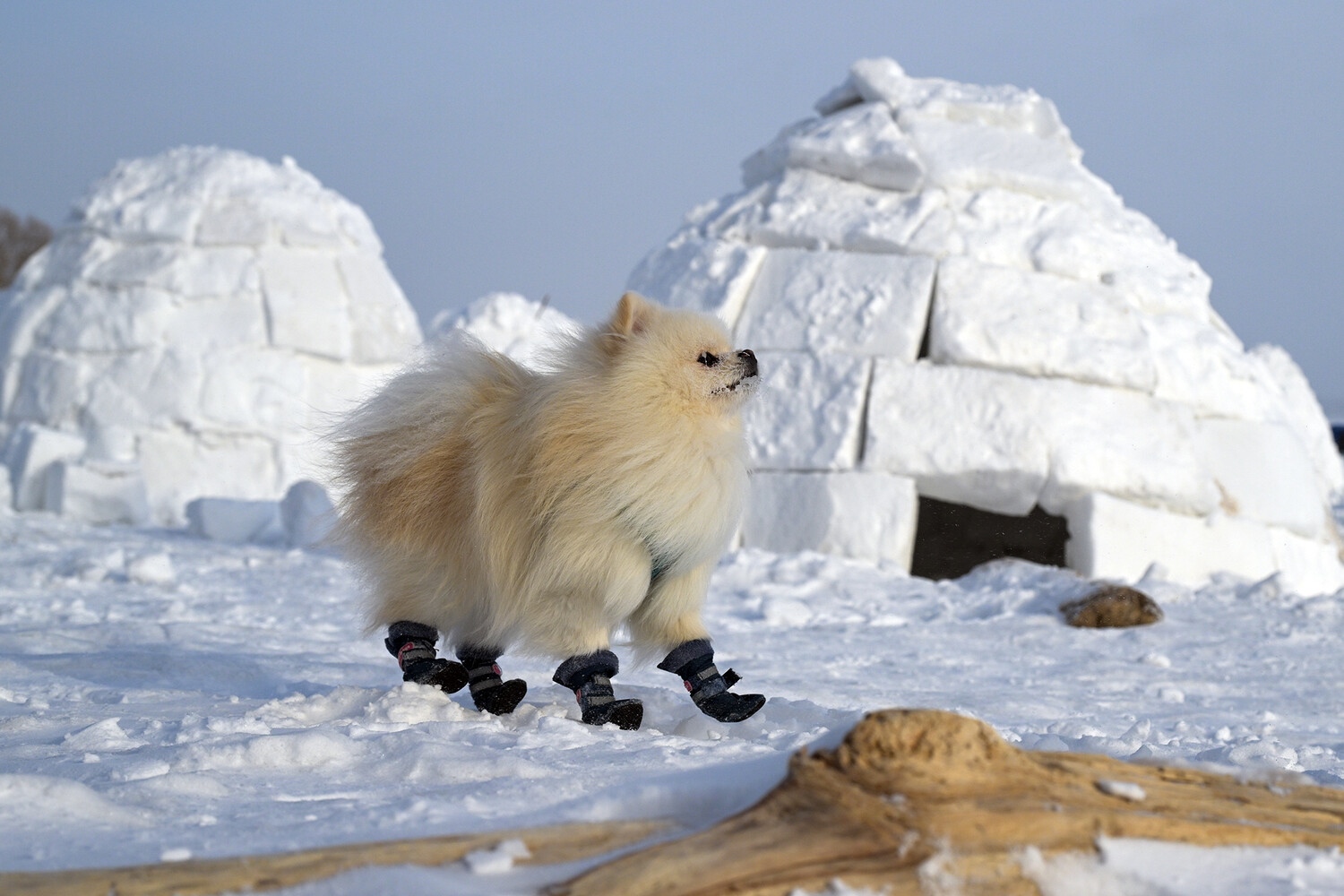 ���������