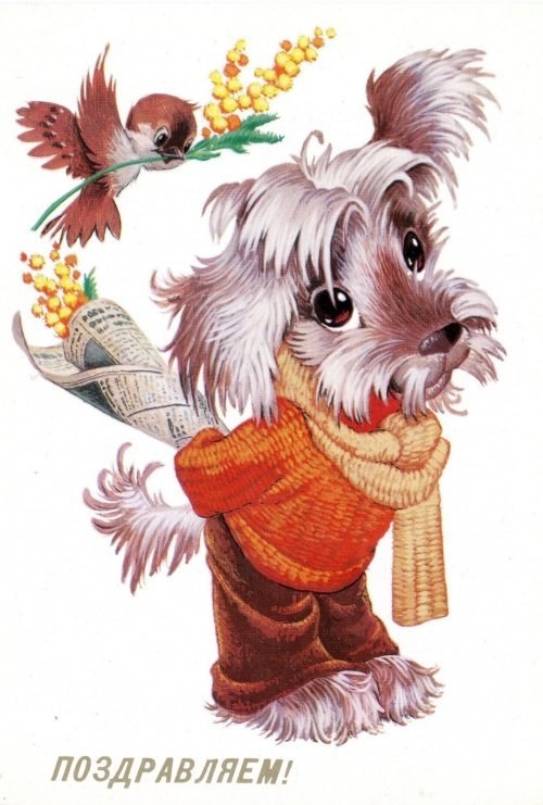 ���������