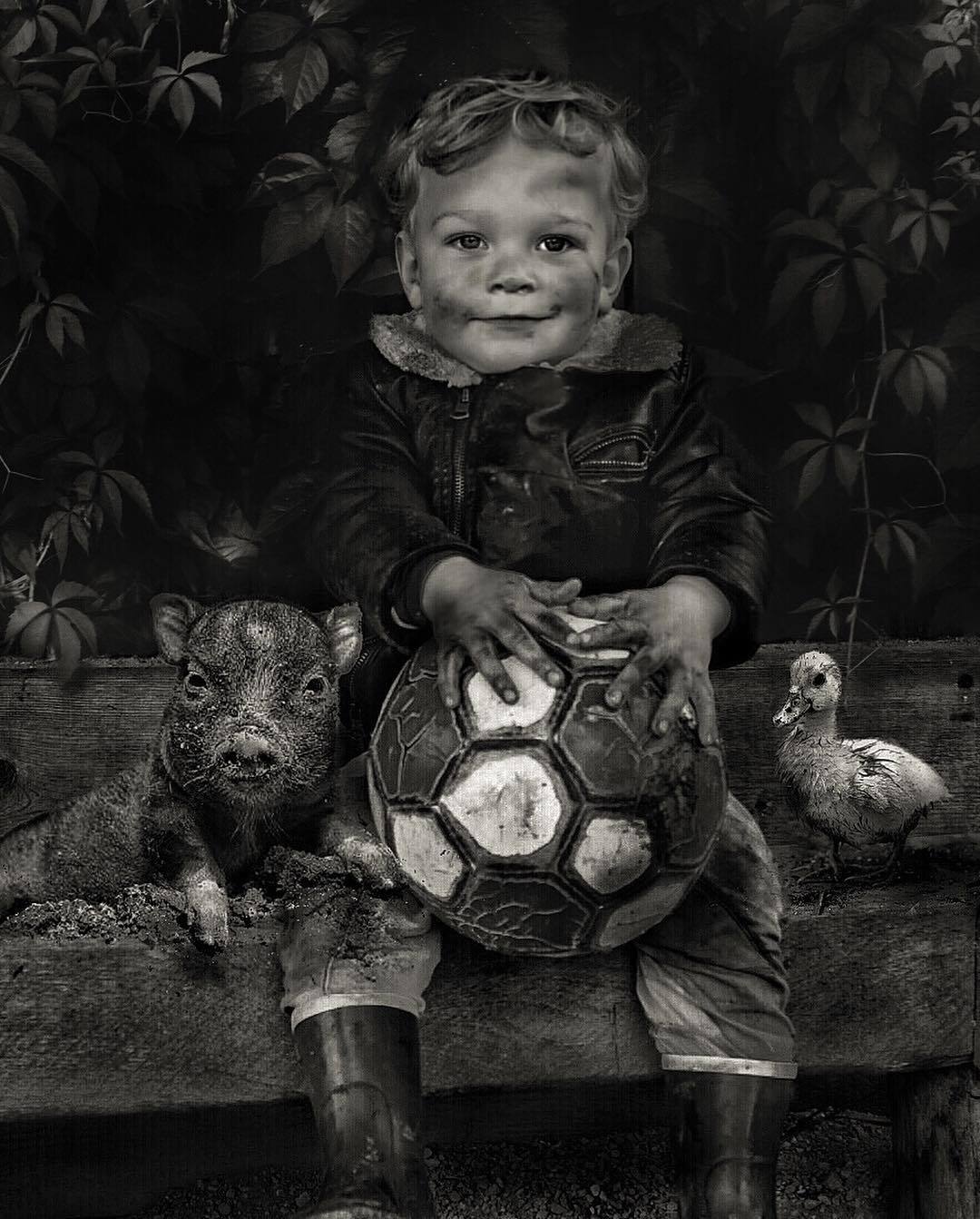 ���������