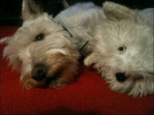 ���������