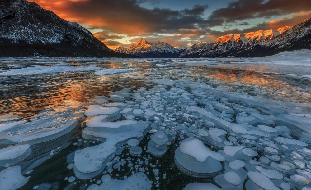 ���������