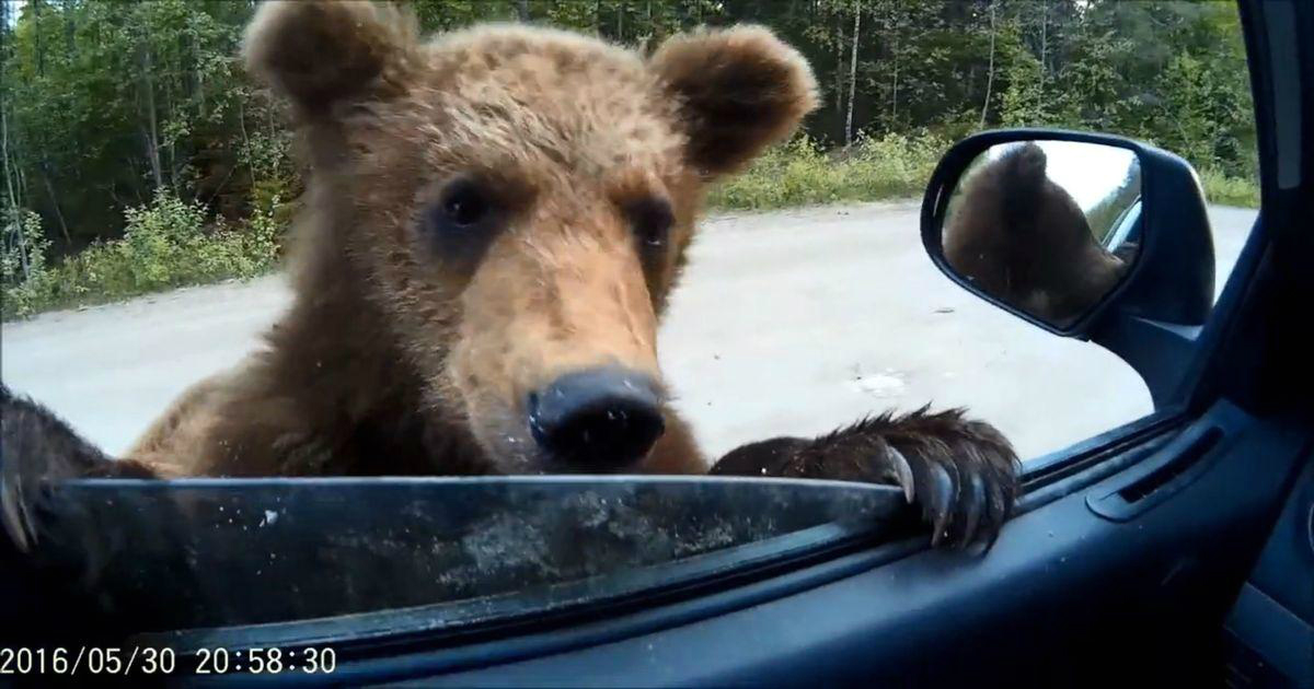 ���������