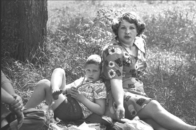 ���������