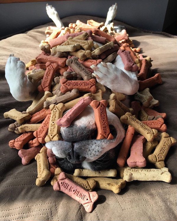 ���������