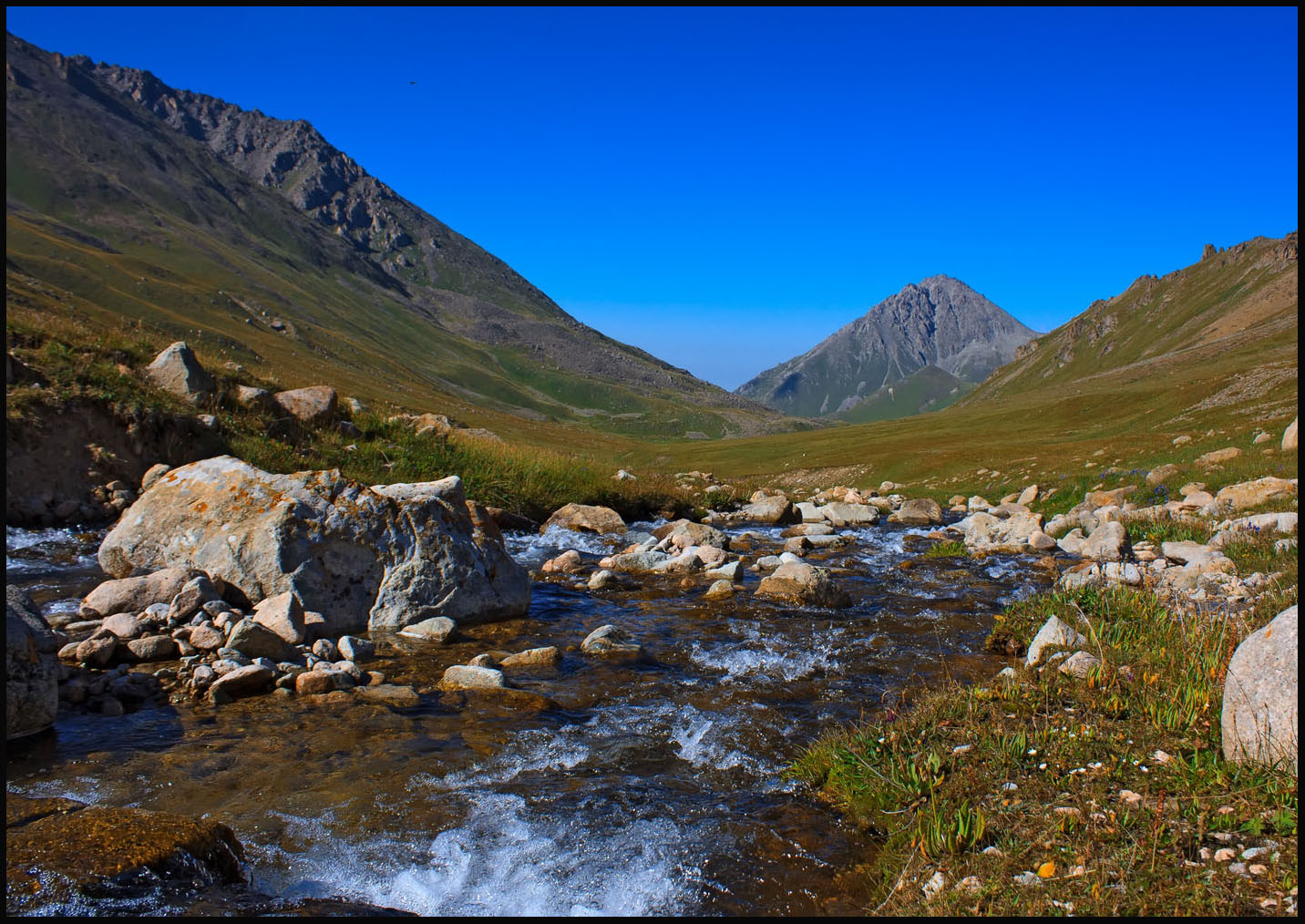 ���������