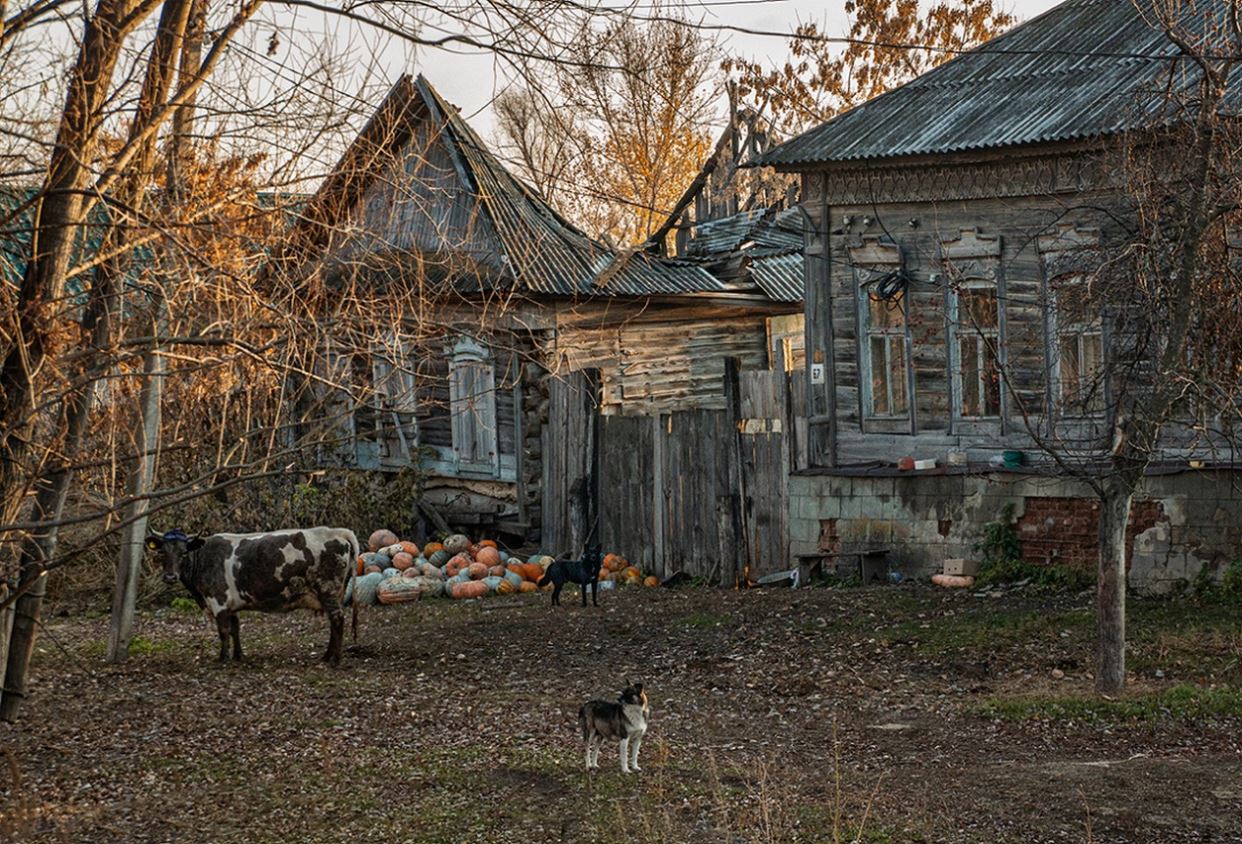 ���������